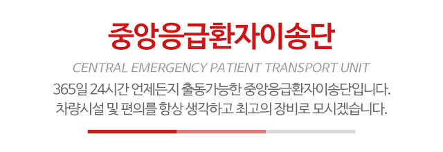 중앙응급환자이송단_