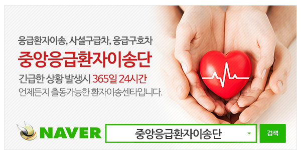 중앙응급환자이송단_