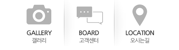 중앙응급환자이송단_