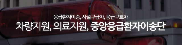 중앙응급환자이송단_